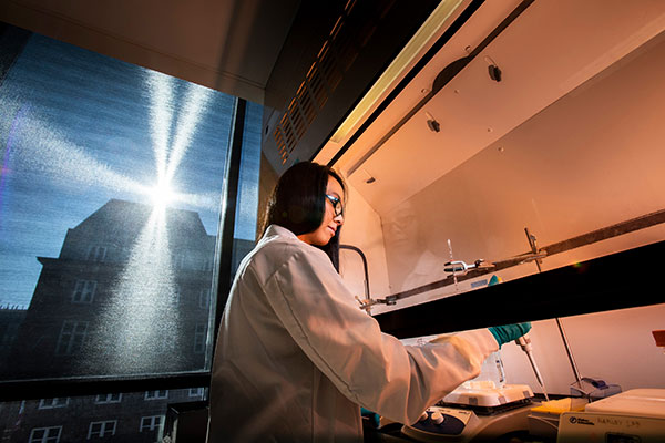 MS Journalism in science and technology