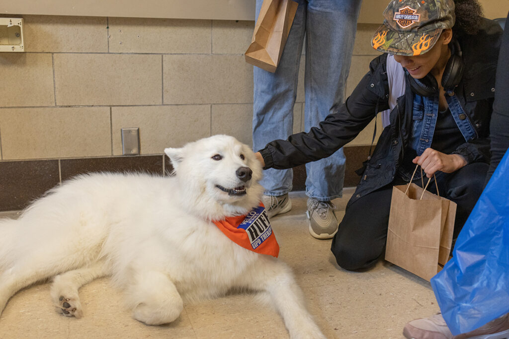 K9 Huff at a College of Media well-being open house